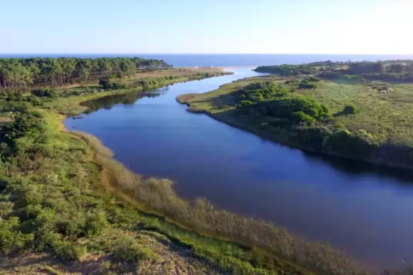 Portada chacras #1456 - Punta Ballena